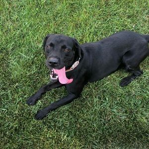 Meet your Posher, Michelle